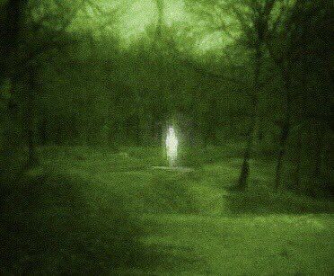 Weirdcore Aesthetic, Dark Green Aesthetic, Giant Tree, Dreamcore Weirdcore, When I Die, Green Aesthetic, Green Light, Fantasy Landscape, Aesthetic Photo