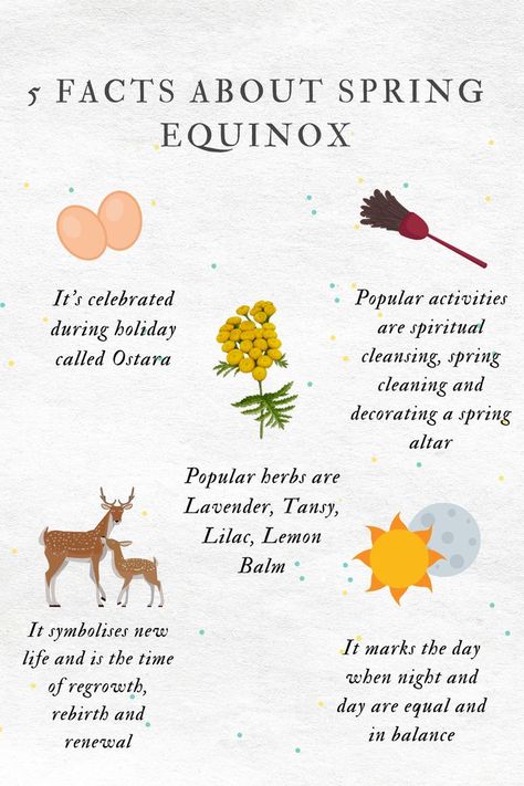 Happy Spring Equinox Day, Pagan Spring Holiday, Spring Equinox Witchcraft, Spring Equinox New Year, Spring Equinox Decor, Happy Equinox Day, Spring Equinox Blessing, How To Celebrate Spring Solstice, Spring Rituals Ideas