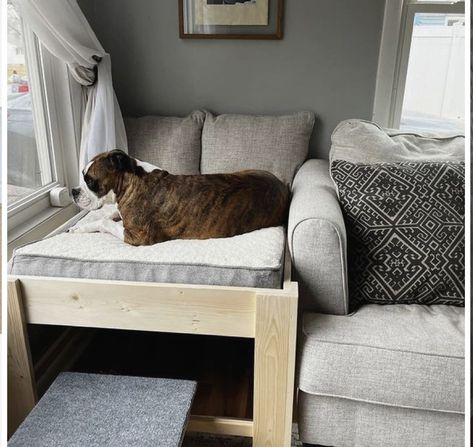 Dog Bed Platform, Crib Mattress Dog Bed, Wood Dog Bed, Elevated Dog Bed, Dog Couch, Diy Dog Bed, Bed Platform, Dog Bed Furniture, Wood Dog