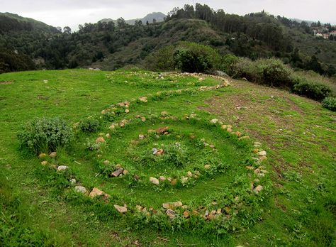 Spiral Knob - a photo documentary of Strawberry Canyon and Claremont Canyon Hike (long sequence) Spiral Garden Path, Solstice Spiral Walk, Stone Spiral Garden, Labrynth Design Paths, Spiral Garden, Spirals In Nature, Photo Documentary, Forest Cat, Magical Things