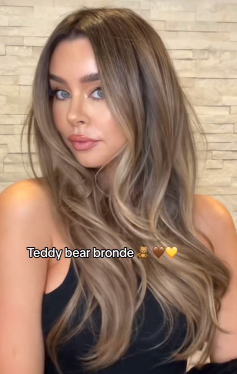 Bronde Balayage On Dark Brown Hair, Balayage With No Money Piece, Dark But Light Hair, Airtouch Balayage Brown, Dark Blonde Hair Without Highlights, Light Neutral Brown Hair Color, Long Layered Bronde Hair, Dark Blonde Hair On Pale Skin, Toning Blonde Hair Darker Before And After