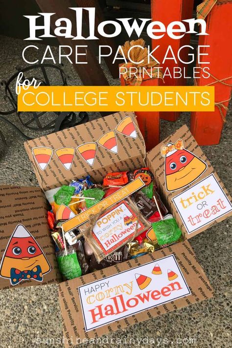 Halloween Care Package College, Halloween Care Package Ideas, College Care Package For Girls, College Gift Boxes, Thanksgiving Care Package, Care Package Decorating, Fall Care Package, Diy Care Package, Christmas Care Package