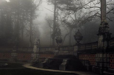 Steampunk Tendencies, Academia Aesthetics, Dark Paradise, Dark Academia Aesthetic, The Fog, The Secret History, Academia Aesthetic, Dark Academia, Dark Aesthetic