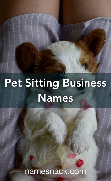 Pet Sitting Business Names, Dog Sitting Business, Pet Services Business, Pet Care Business, Pet Sitting Business, Pet Sitting Services, Free Logos, Work From Home Careers, Pet Hotel