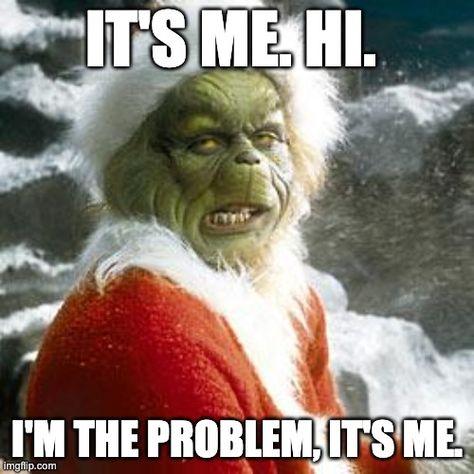 Grinch Memes, O Grinch, Jim Carrey Quotes, Massage Quotes, Grinch Quotes, Mr Grinch, Grinch Who Stole Christmas, Movie Makeup, Christmas Memes