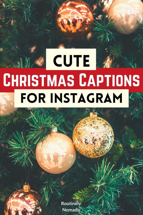 Decorated Christmas tree with the words Cute Christmas Captions for Instagram on top Cute Christmas Ig Captions, Caption For Christmas Photos, Winter Letterboard Quotes, Winter Letterboard, Christmas Couple Quotes, Family Holiday Quotes, Christmas Captions Instagram, Cute Short Captions, Quotes For Thanksgiving