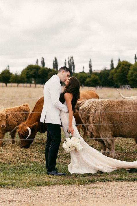 Country Meets City Wedding, Farm Wedding Poses, Farm Wedding Dress, Elegant Country Wedding, Elegant Backyard Wedding, Timeless Bride, Farm Wedding Photography, Farm Pond, Elegant Country