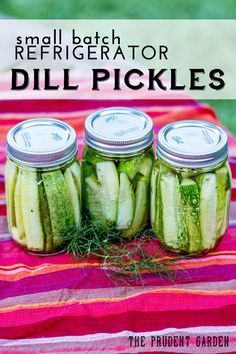 Garden Cucumbers, Refrigerator Dill Pickles, Refrigerator Pickles Dill, Dill Pickle Recipe, Canning Pickles, Canning Recipe, Summer Sides, Refrigerator Pickles, Dill Pickles