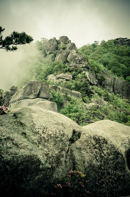 Old Rag Mountain Virginia, Shenandoah Mountains, Vacation Wishes, Better Day, Gods Creation, Fun Easy, Happy Places, Virginia, Places Ive Been