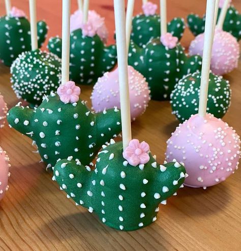 Alyssa's Cakery (@alyssascakery) • Instagram photos and videos Cactus Cake Pops, Cactus Cake, Fingerfood Party, Fiesta Birthday Party, Cactus Party, Taco Party, Fiesta Theme, Fiesta Birthday, Fiesta Baby Shower