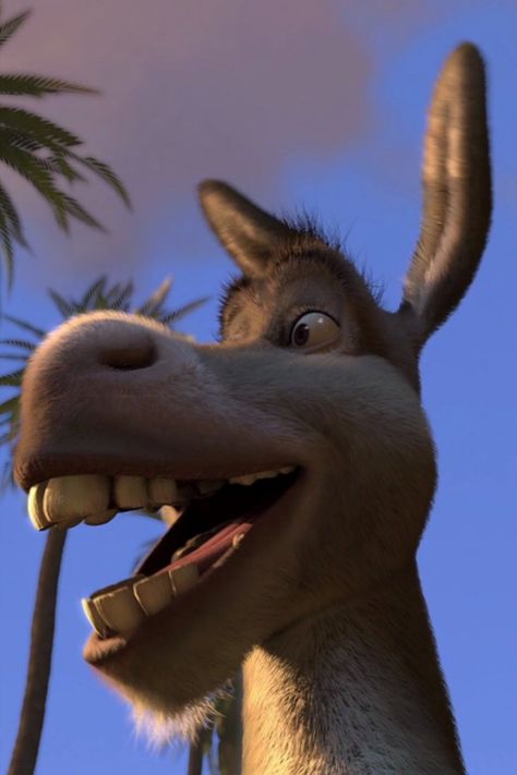 Shrek Widget, Donkey From Shrek, Shrek Aesthetic, Shrek Donkey, Shrek Character, Beautiful Wallpapers For Iphone, Mood Wallpaper, Cartoon Character Pictures, Anime Artwork Wallpaper