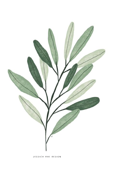 Olive Branch Illustration, Branch Illustration, Digital Illustration Tutorial, Illustration Botanical, Illustration Simple, Landscape Digital, Watercolor Fashion, Soyut Sanat Tabloları, Watercolor Plants