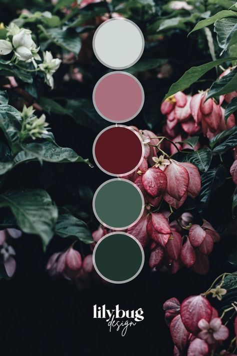 Floral Colour Palette, Color Schemes Colour Palettes, Color Palate, Color Palette Design, Color Inspo, Colour Board, Floral Color, Paint Colors For Home, Colour Schemes