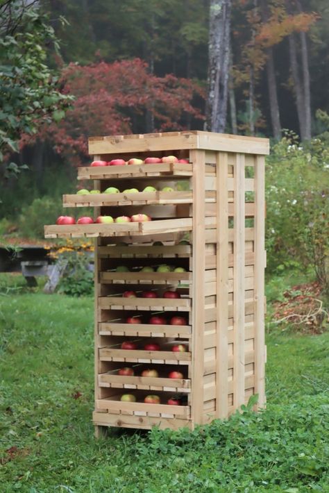 DIY Apple Storage Rack Apple Storage, How To Store Apples, Storing Food Long Term, Yard Storage, Farmhouse Table Plans, Diy Apple, Reading Diy, Pallet Fence, Apple Varieties