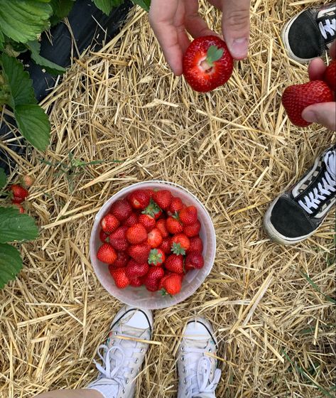 Strawberry Picking Date, Couple Activity Aesthetic, Bug Core, Corinne Michaels, Dates Ideas, Strawberry Aesthetic, Festival Dates, Fall Dates, Strawberry Fields Forever