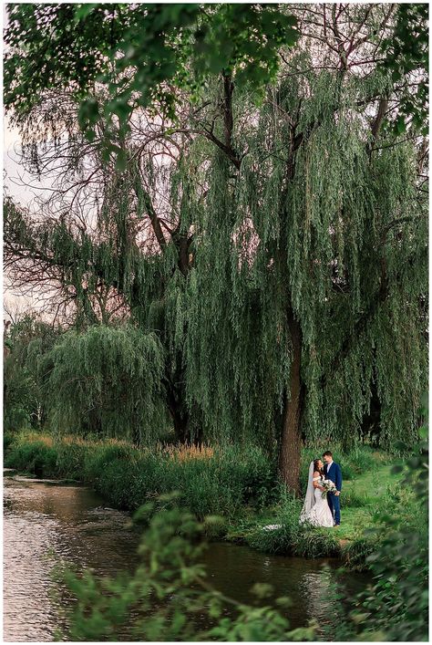 Weeping Willow Tree Photoshoot, Willow Tree Proposal, Engagement Photos Willow Tree, Willow Tree Wedding Photos, Wedding Under Willow Tree, Willow Tree Engagement Photos, Willow Tree Photoshoot, Weeping Willow Wedding, Pocahontas Wedding