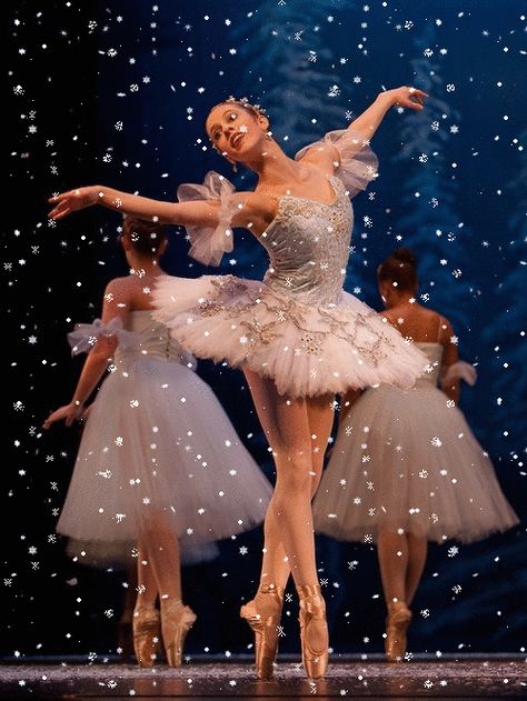 Reine des neiges (ballet) London Ballet, Ballet Images, Ballet Pictures, Ballet Beauty, Ballet Poses, Ballet Inspiration, Ballet Photos, Pretty Ballerinas, Dance Ballet