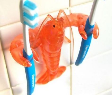 Top 10 Crazy and Unusual Toothbrush Holders Dentistry Student, Crustaceans, Holder Design, Dream House Decor, Home Gadgets, Toothbrush Holder, Cool Gadgets, House Stuff, Stuff I Want