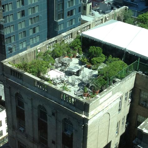 Rooftop Garden2 - NYC Rooftop Garden Ideas, Rooftop Garden Nyc, Garden Ideas To Make, Rooftop Gardens, Roof Garden Design, Nyc Rooftop, Rooftop Design, Patio Roof, Terrace Design