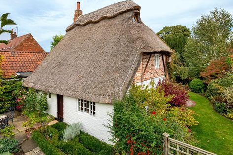 Thatch Cottage, Large Greenhouse, Ceiling Speakers, Washing Machine And Dryer, Thatched Cottage, Log Burner, Engineered Hardwood Flooring, Property Marketing, Vaulted Ceiling