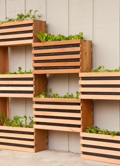 Vertical Vegetable Gardens, Vertical Garden Indoor, Vertical Garden Design, Vertical Vegetable Garden, Vertical Garden Wall, Vertical Herb Garden, Vertical Garden Diy, Vertical Gardens, Walled Garden