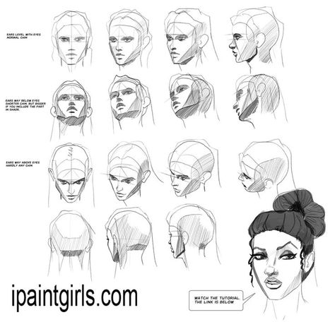 Head Angles, Face Proportions, Draw Tutorial, Face Angles, Face Anatomy, Tree Drawings Pencil, Drawing Heads, Drawing Quotes, Small Drawings