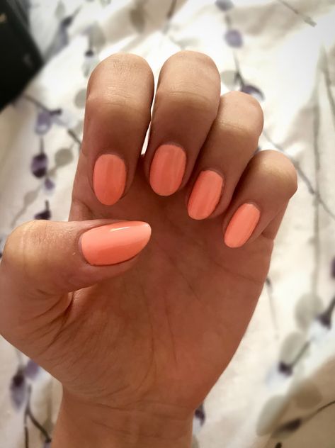 Coral Nails Short Round, Coral Round Nails, Gel Nails Ideas Short Solid Color, Gel Coral Nails, Oval Coral Nails, Soft Coral Nails, Pastel Coral Nails, Coral Oval Nails, Uñas Color Salmon