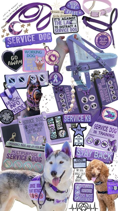 Service dog gear #servicedog#servicedogs#servicedoggear#dog#dogs#doggear#purple#purplegear Service Dog Gear, Gentle Leader, Psychiatric Service Dog, Service Dog Patches, Service Dogs Gear, Dog Spaces, Service Dog Training, Service Dog Vests, Dog Patch