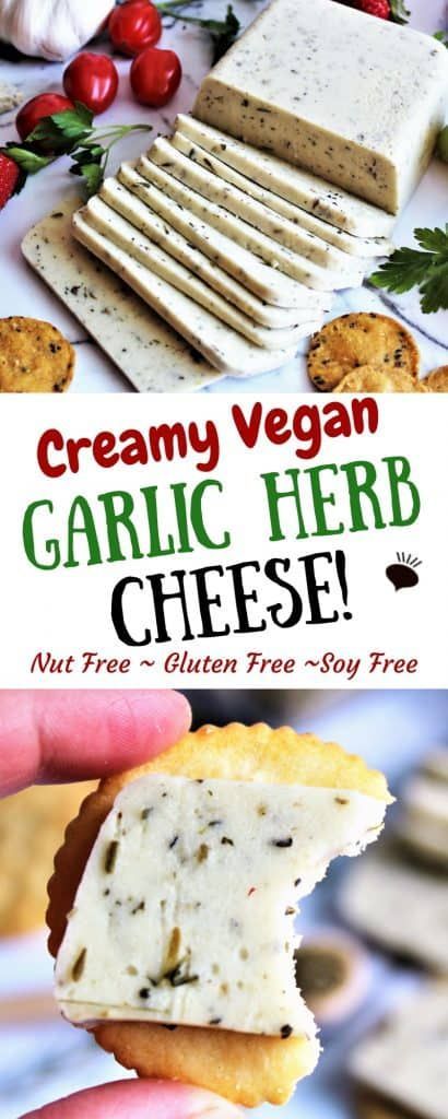 Oil Free Nut Free Vegan Recipes, Homemade Dairy Free Cheese, Best Vegan Cheese Recipe, Diy Dairy Free Cheese, Diy Vegan Cheese, Homemade Vegan Cheese, Vegan Cheese Recipe, Paleo Cheese, Coconut Cheese