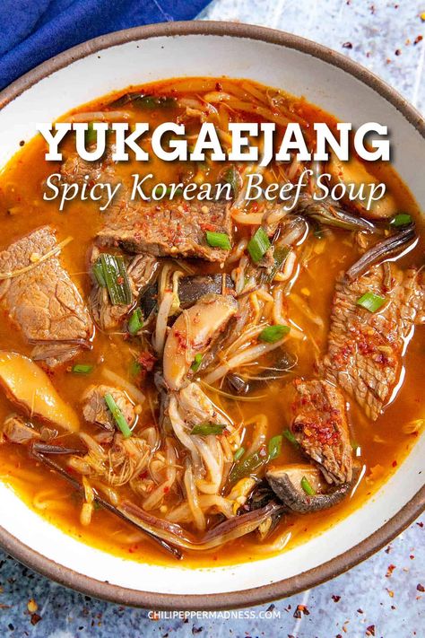 Yukgaejang is a hearty, spicy Korean vegetable beef soup recipe loaded with flavor, ready to warm your soul, vibrant red in color, an easy one-pot meal! Spicy Beef Soup Recipes, Asian One Pot Meals, Yukgaejang Recipe, Korean Beef Soup Recipe, Korean Beef Stew Recipe, Spicy Korean Soup, Korean Beef Soup, Korean Beef Stew, Spicy Korean Beef