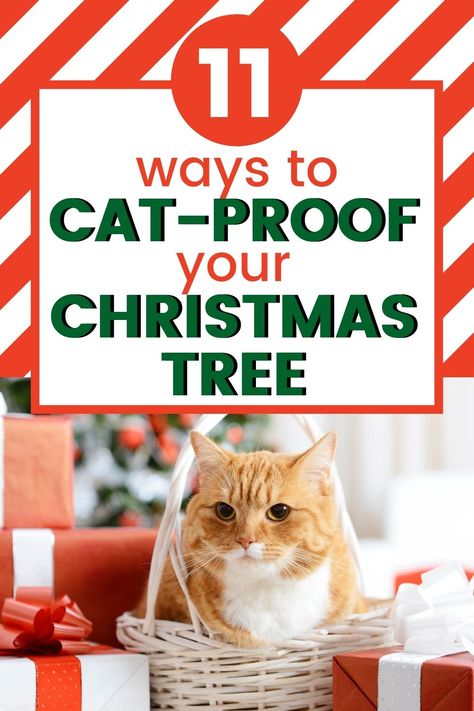 Christmas Decor Ideas When You Have Cats, Cat Friendly Christmas Trees, Cat Proof Decorations, Cat Proof Xmas Tree, Christmas Tree Ideas For Cat Owners, Cat Christmas Tree Decorations, Cat Proofing Christmas Tree, Keeping Cats Out Of Christmas Tree, How To Cat Proof Your Christmas Tree