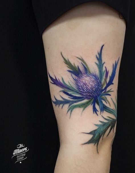 Farm Inspired Tattoo, Viking Flower Tattoo, Irish Scottish Tattoo, Milk Thistle Tattoo, Blue Thistle Tattoo, Thistle Rose Tattoo, Scottish Tattoos For Women, Thistle Sketch, Thistle Tattoo Black