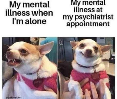 Psychology Memes, Mental Health Humor, Funny Mental Health, Health Memes, Therapy Humor, Barbie Quotes, Health Humor, Vegan Memes, Bear Quote