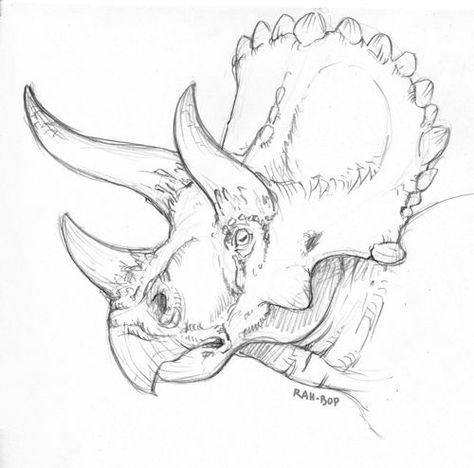 Triceratops Sketch, Drawing Dinosaurs, Dinosaur Drawings, Dino Drawing, Dinosaur Triceratops, Dinosaur Sketch, Dinosaur Tattoos, Dinosaur Drawing, Dinosaur Illustration