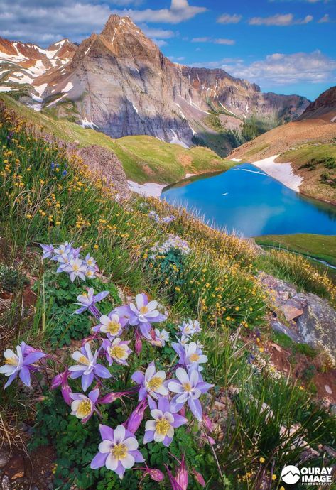 Middle Blue Lake, Colorado, USA Blue Lakes Colorado, Colorado Mountains Aesthetic, Colorado Summer Aesthetic, Emerald Lake Colorado, Culture Collage, Nature Medicine, Colorado Lakes, Colorado Wildflowers, West Coast Travel