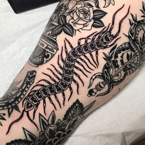 Centipede Trad Tattoo, Old School Centipede Tattoo, Centipede American Traditional Tattoo, Traditional Millipede Tattoo, Tarantula Traditional Tattoo, Trad Centipede Tattoo, Blackwork Filler Tattoo, Heart Centipede Tattoo, Centipede Knee Tattoo