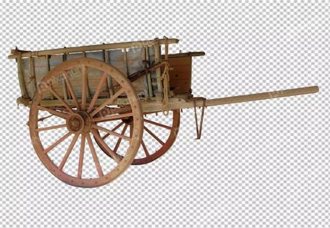 Adobe Software, Wooden Wagon, Wooden Wheel, White Horses, Beautiful Sights, The Gold, Gold Leaf, The Golden, My Images