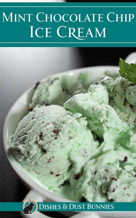 Homemade Mint Chocolate Chip Ice Cream, Mint Chocolate Chip Ice Cream Recipe, Chocolate Chip Ice Cream Recipe, Kitchen Aid Ice Cream Recipes, Kitchen Aid Ice Cream, Vegetarian Platter, Ice Cream Recipes Machine, Cuisinart Ice Cream, Ice Cream Maker Recipes