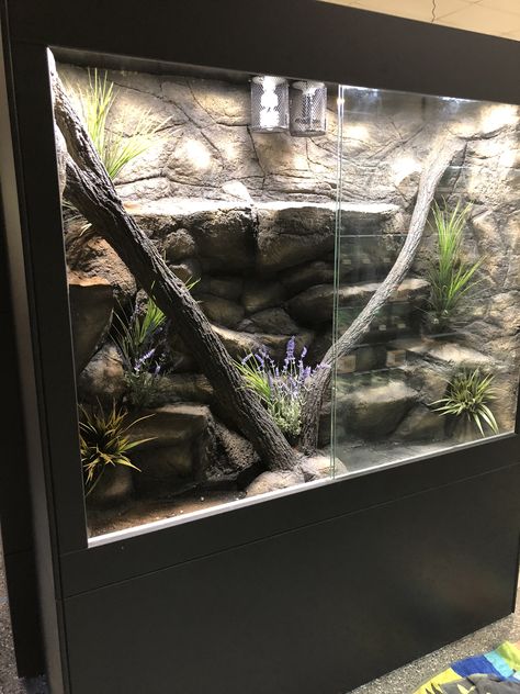 Rock Terrarium, Dog Boarding Ideas, Snake Cages, Reptile Zoo, Diy Reptile, Bearded Dragon Terrarium, Snake Enclosure, Reptile House, Animals Care