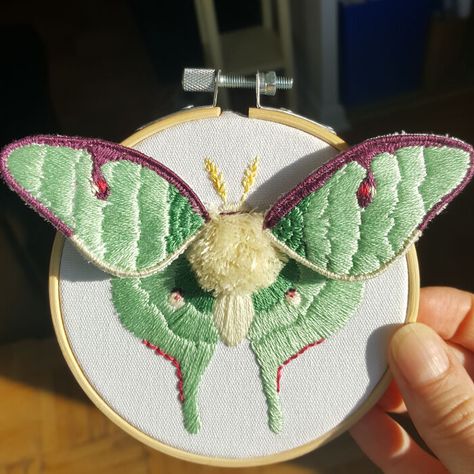 Luna Moth, My First Attempt At A 3D Effect Embroidered Luna Moth, Luna Moth Embroidery, Creepy Embroidery, Embroidery Moth, Moth Embroidery, Spooky Forest, Portrait Embroidery, Clothes Embroidery Diy, Digital Embroidery Patterns