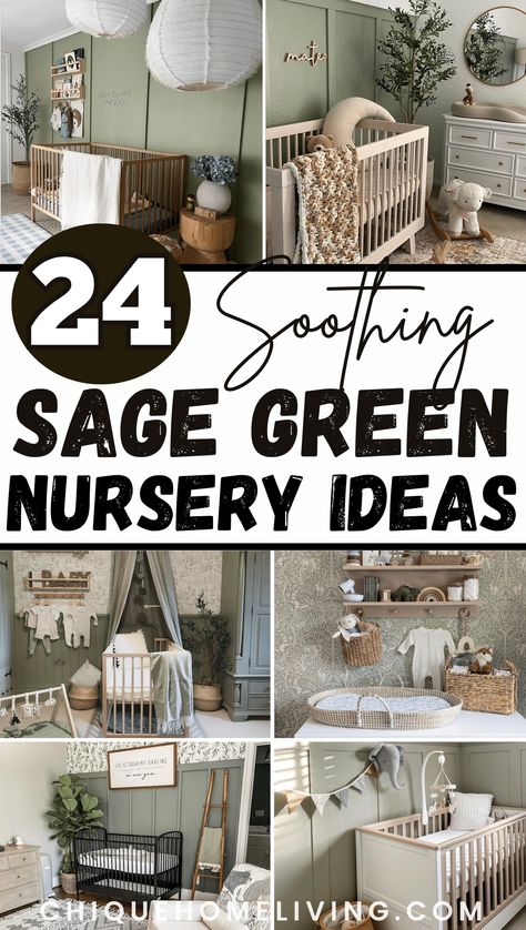 Are you looking for a visually appealing, timeless, and versatile color for your baby’s nursery? Check out these curated dreamy sage green nursery ideas! Sage Green Crib Nursery, Wallpaper With Green Walls, Sage Green And Gray Nursery, Baby Girl Nursery Sage Green, Sage Nursery Girl, Sage Nursery Gender Neutral, Sage Green Nursery Girl, Green Accent Wall Nursery, Sage Green Nursery Gender Neutral