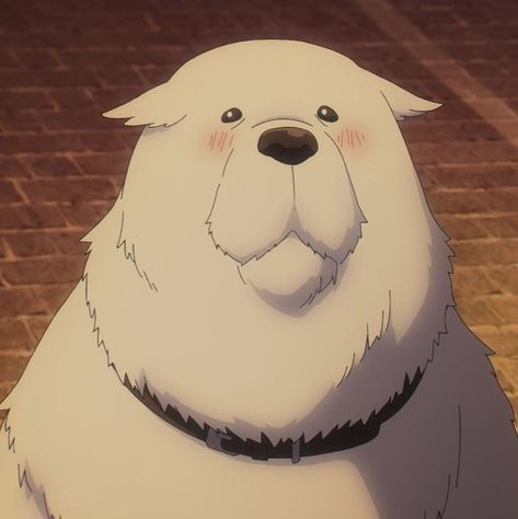 Bond Forger, Spy X Family Anime, Dog Icon, Spy Family, Very Scary, Anime Family, Spy X Family, Anime Animals, Anime Screenshots