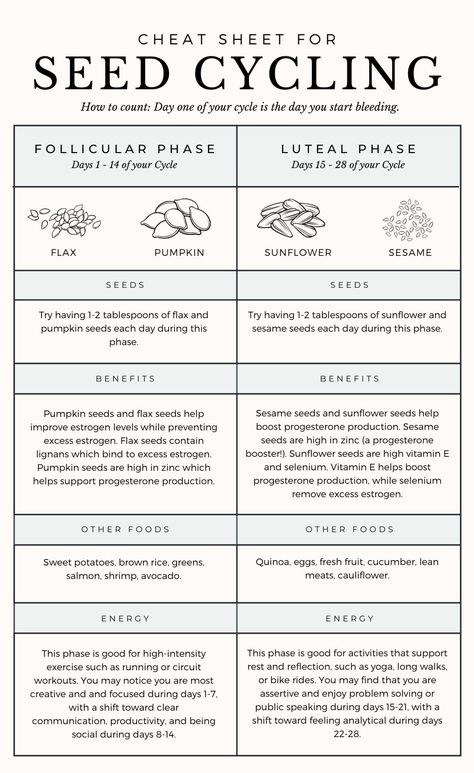 Seed Cycling Cheat Sheet for Hormone Support - Thyme Is Honey Hormone Nutrition, Seed Cycling, Womb Healing, Hormone Support, Healthy Hormones, Menstrual Health, Feminine Health, Happy Hormones, Hormone Balance