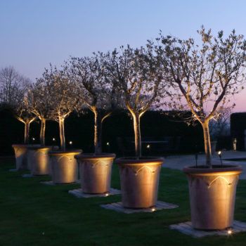 layering garden lighting Tree Lighting Ideas, Planter Lighting, Unique Christmas Decor Ideas, Bear Landscape, Evening Lighting, Lighting Your Garden, Outdoor Tree Lighting, Garden Lighting Design, Unique Christmas Decor