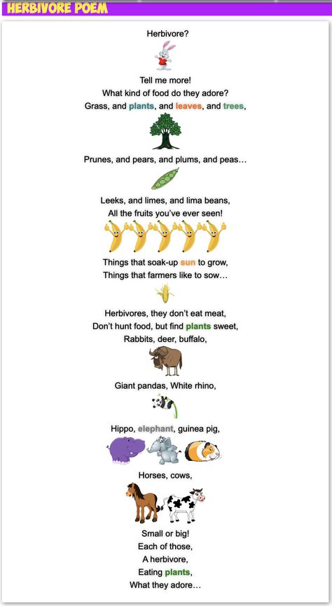 Mr. R.'s fun science poem about HERBIVORES! Science Poems, Science Topics, Lima Beans, Eat Meat, Elementary Science, Giant Panda, Fun Science, Science, Songs