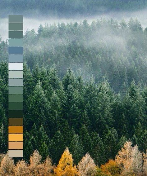 Dusty Teal, Forest Color, Color Schemes Colour Palettes, Nature Color Palette, Dashboard Design, Paint Colors For Home, Colour Schemes, Color Pallets, Color Swatches