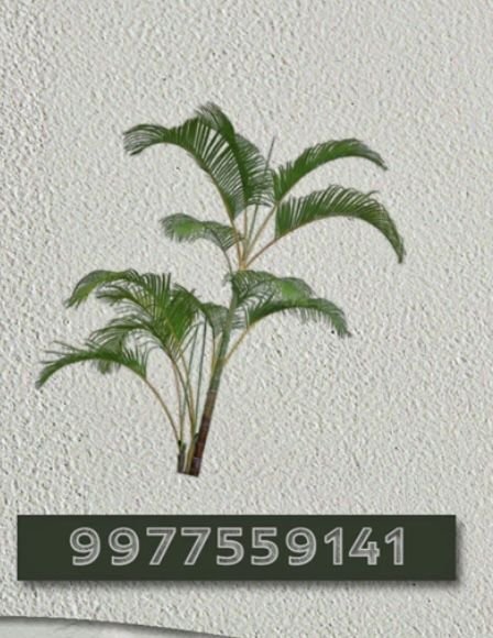 Bloxburg Plant Decals Codes Palm Tree, Palm Tree Decal Codes Bloxburg, Palm Tree Codes Bloxburg, Tree Decal Codes Bloxburg, Bloxburg Tree Decals Codes, Bloxburg Palm Tree Decal, Palm Tree Decals Bloxburg, Tree Decals Bloxburg, Bloxburg Tree Decals