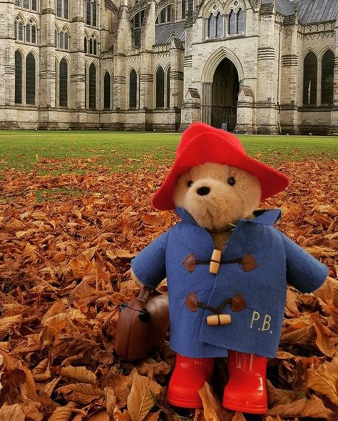 Paddington at Salisbury Cathedral, Wiltshire Paddington Bear Aesthetic, Paddington Wallpaper, Mouse Moment, Oso Paddington, Totoro Plush, Salisbury Cathedral, London Girl, London Dreams, Autumn In New York