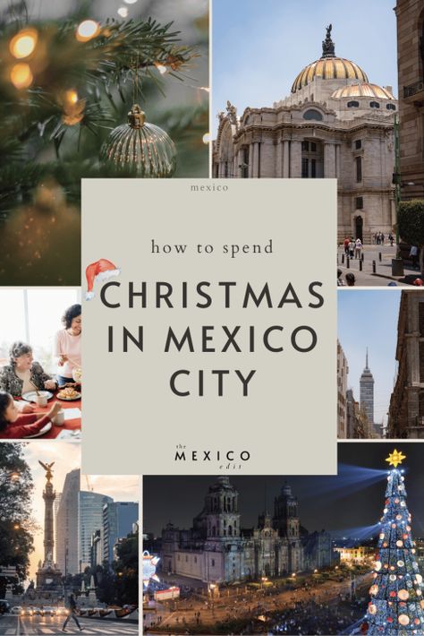 Uncover the best things to do in Mexico City over the festive season. From the top festive traditons to the best activities in the city mexico city christmas | christmas in mexico city | mexico christmas | christmas mexico Christmas Mexico, Christmas In Mexico, Mexico Christmas, Things To Do In Mexico, Christmas Things To Do, City Christmas, Mexico Hotels, Virgin Of Guadalupe, Mexican Christmas