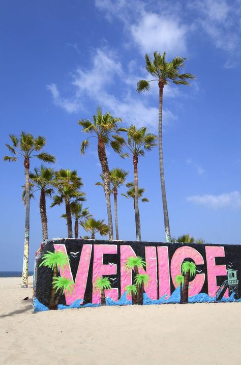 Palm Tree Wallpaper, City Los Angeles, Palm Trees Wallpaper, Trendy Photography, Venice Beach California, Venice California, Tree Wallpaper, California Love, California Dreamin'